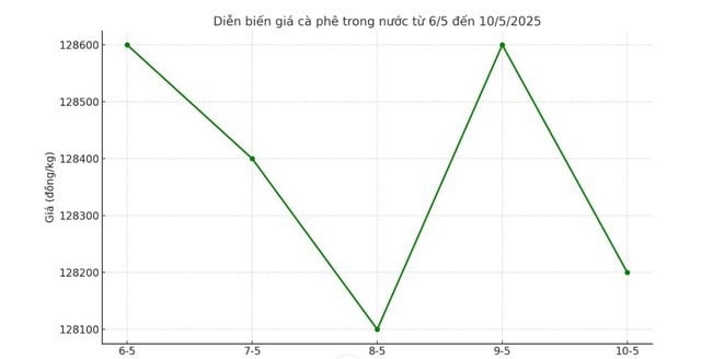 Diễn biến giá cà phê trong nước tuần qua