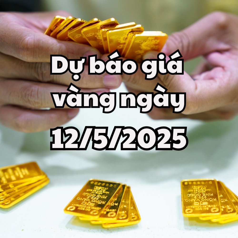 Dự báo giá vàng ngày mai 12 5 2025 giá vàng trong nước và thế giới đón đợt sóng lớn
