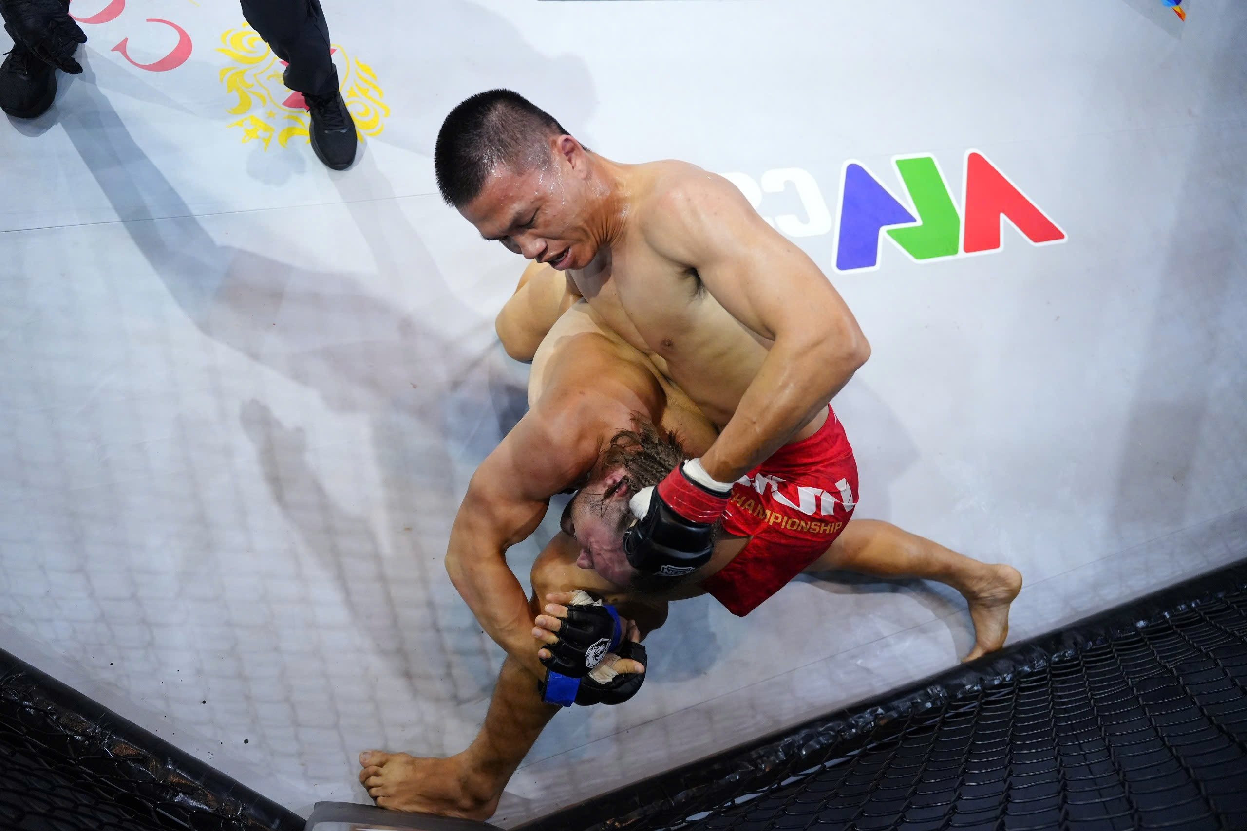 lion championship anh 5