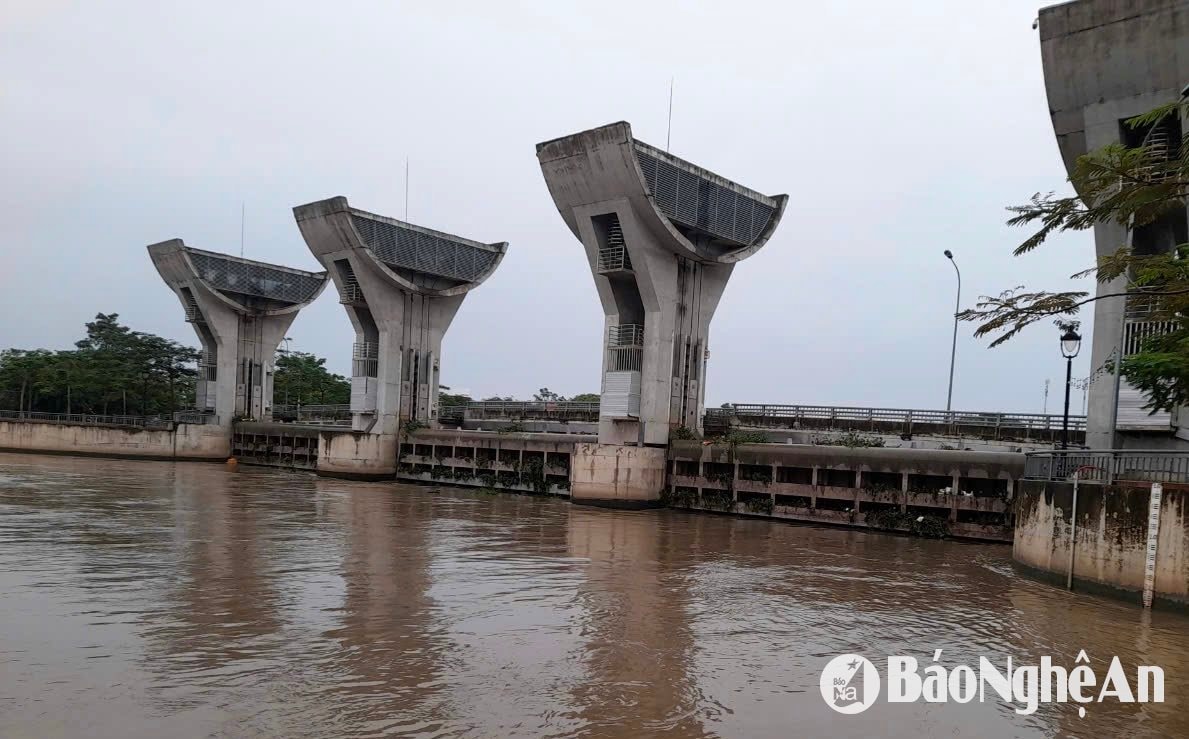 វ៉ាន់ ទ្រុង m4678