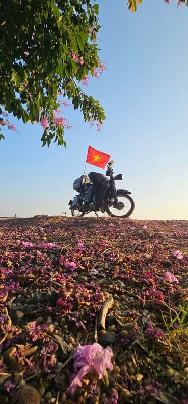 Khi tôi lớn lên, đất nước đã có rồi. (Ảnh minh họa - Nguồn: internet)