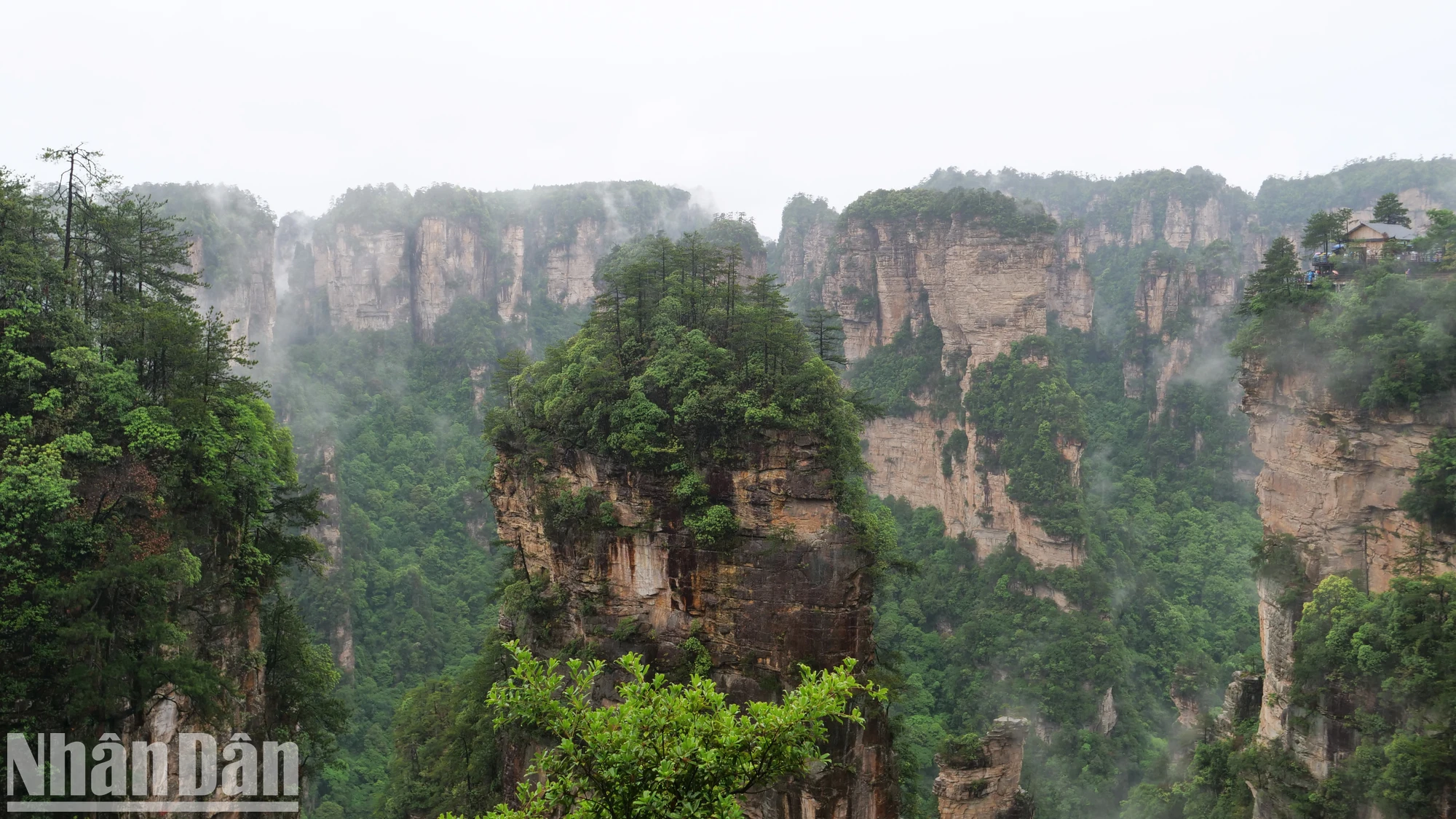 [Photo] Discover the beautiful scenery of Wulingyuan in Zhangjiajie, China photo 3