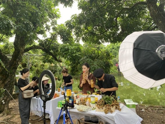 Livestream quảng bá, bán sản phẩm nhãn lồng Hưng Yên và các sản phẩm OCOP Hưng Yên. (Ảnh: Phạm Đăng)