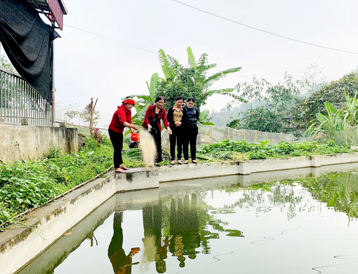 Hội viên Hội Liên hiệp Phụ nữ huyện Vị Xuyên tích cực phát triển kinh tế từ mô hình Chi hội 4 tốt.