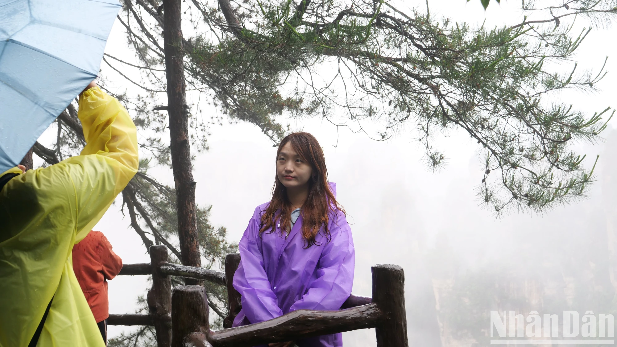 [Photo] Discover the beautiful scenery of Wulingyuan in Zhangjiajie, China photo 6
