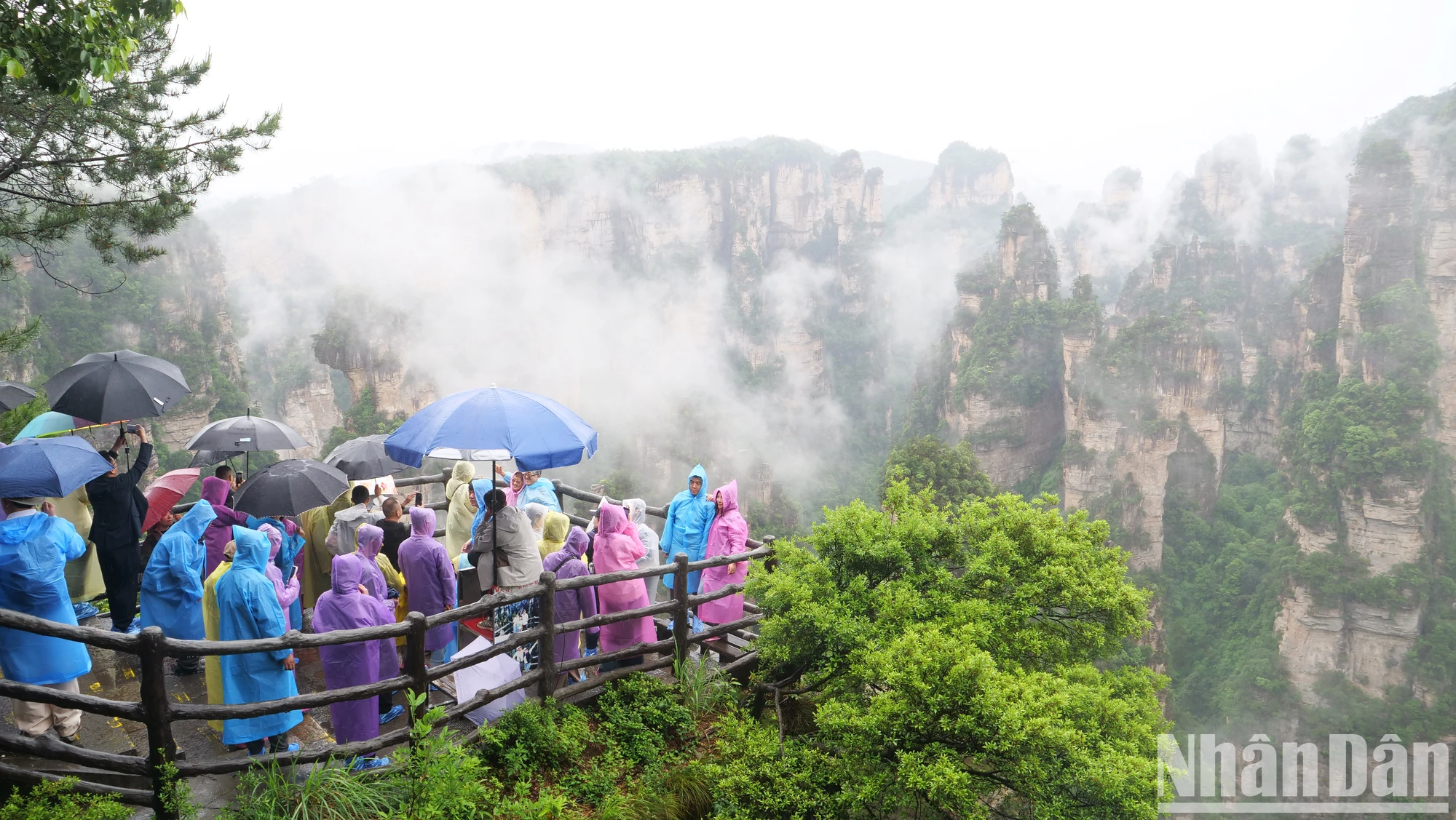 [Photo] Discover the beautiful scenery of Wulingyuan in Zhangjiajie, China photo 5