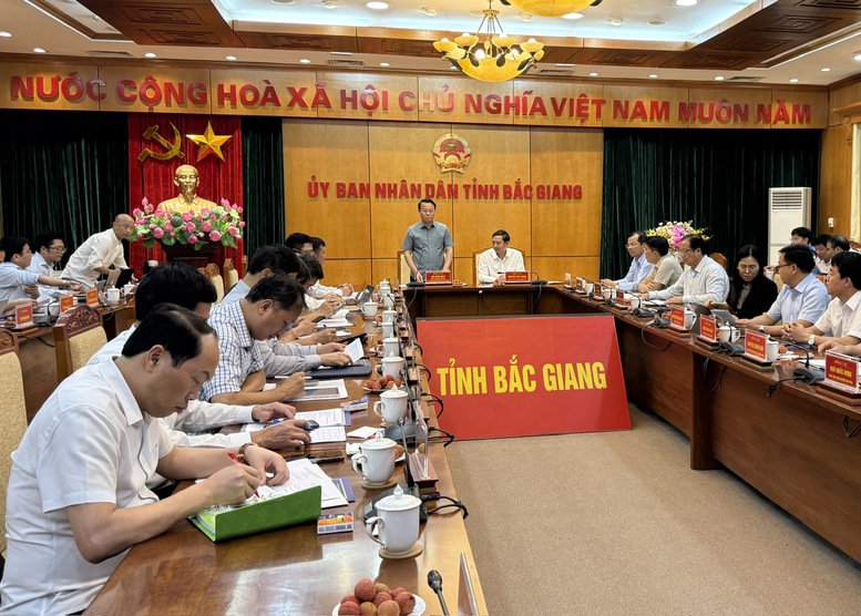 Sẵn sàng cho vụ vải thiều 2025- Ảnh 2.