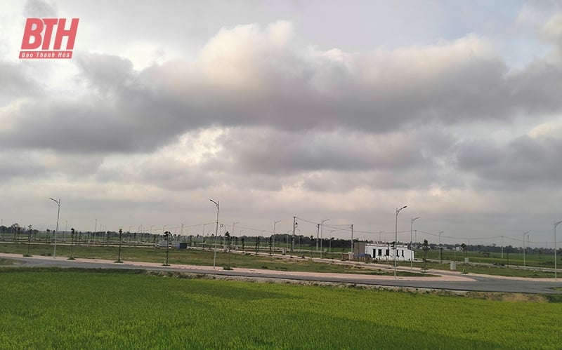 Hài hòa lợi ích ở thị trường bất động sản, chuyện dễ hóa khó (Bài 2): Sau trúng đấu giá, đất ở bị bỏ hoang