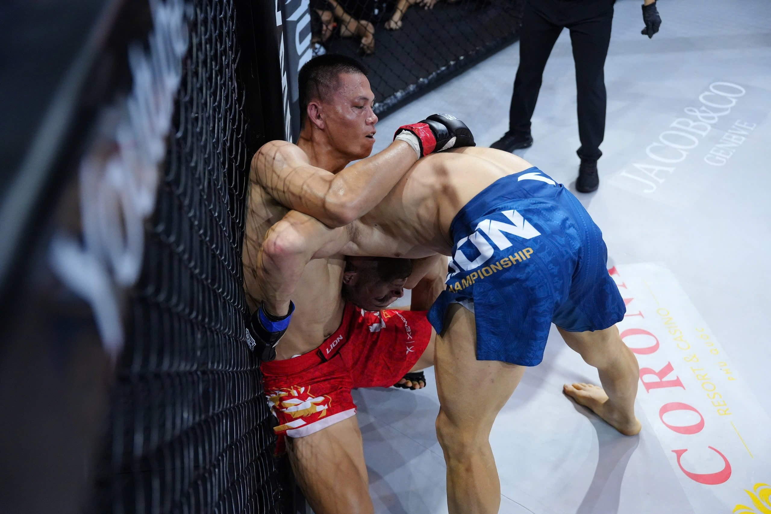 lion championship anh 3