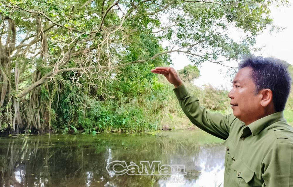 លោក Lam Van Tuan បុគ្គលិកនៅប៉ុស្តិ៍ត្រួតពិនិត្យលេខ 21-100 ឧទ្យានជាតិ U Minh Ha បានរៀបរាប់រឿងដែលបានជួបពស់វែកកាលពី 20 ឆ្នាំមុន។