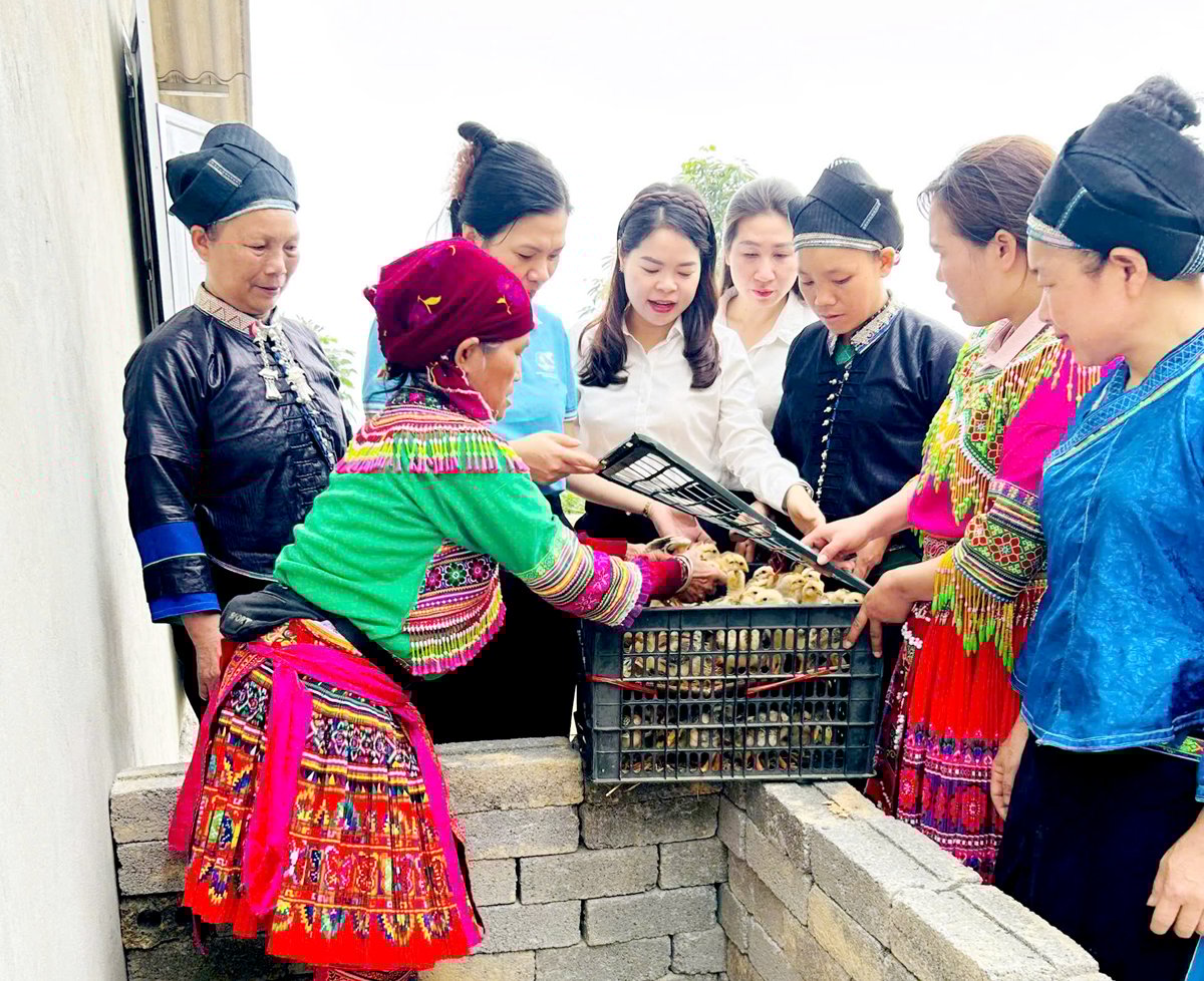 Xã Tân Thành (Bắc Quang) trao tặng thêm con giống cho các hộ hoàn thành xóa nhà tạm.