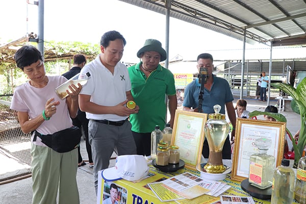 Các thành viên trong Đoàn hành trình xuyên Việt Farmstay tham quan cơ sở nuôi nai lấy nhung của ông Lâm Quang Long (xã Bình Châu,  huyện Xuyên Mộc).