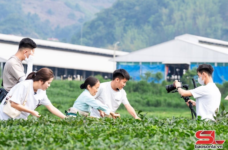 Sơn La phát triển du lịch trở thành ngành kinh tế mũi nhọn - Ảnh 6.