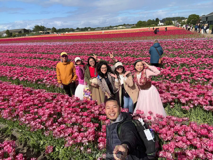 Anh Quốc Bảo (28 tuổi, TPHCM), người vừa có chuyến đi kết hợp Keukenhof và Tulip Experience, cho biết: &quot;Keukenhof thì hoành tráng như một công viên nghệ thuật sắp đặt từ hoa. Còn Tulip Experience lại mang đến trải nghiệm gần gũi hơn. Tìm hiểu về lịch sử và cách trồng, chăm sóc hoa tulip cũng rất hay. Nếu có thời gian, mình khuyên mọi người nên đi cả hai nơi để có cái nhìn trọn vẹn.&quot;