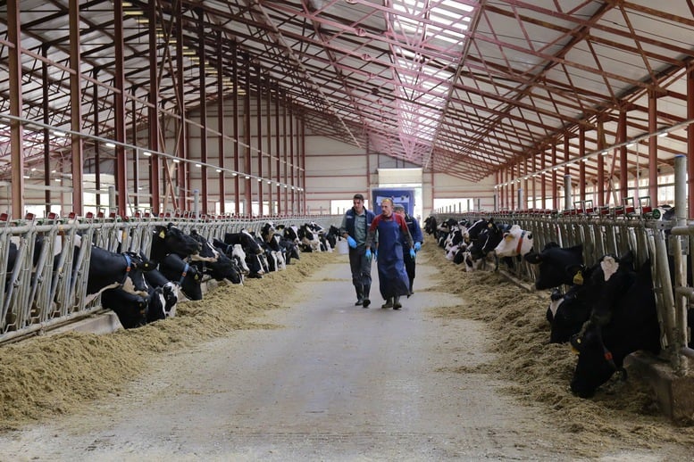 TH true MILK chính thức vận hành nhà máy sữa tươi tại Liên bang Nga- Ảnh 3.