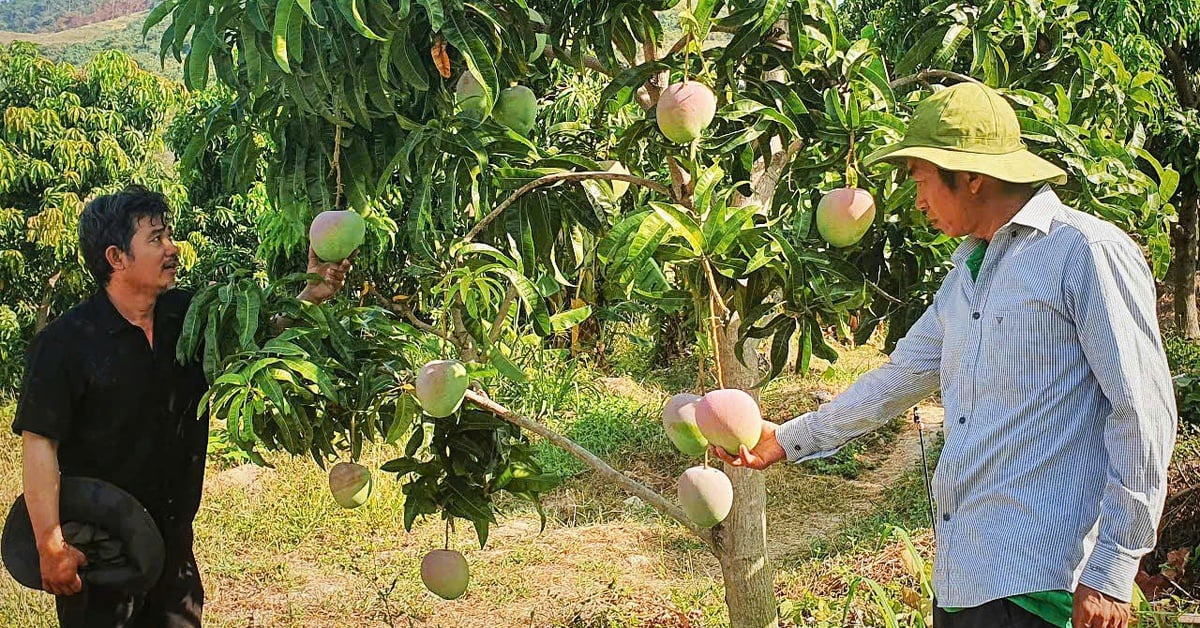 www.vietnam.vn