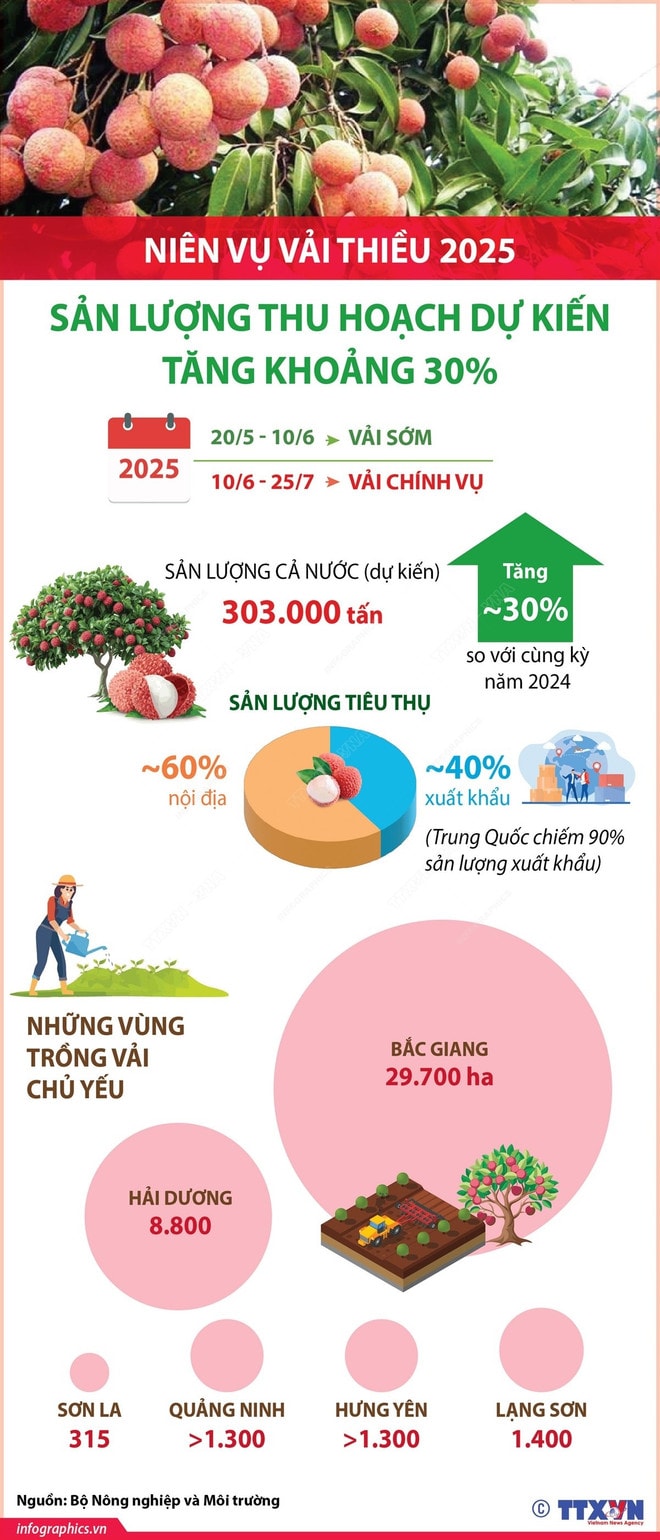 vai-thieu-2025.jpg