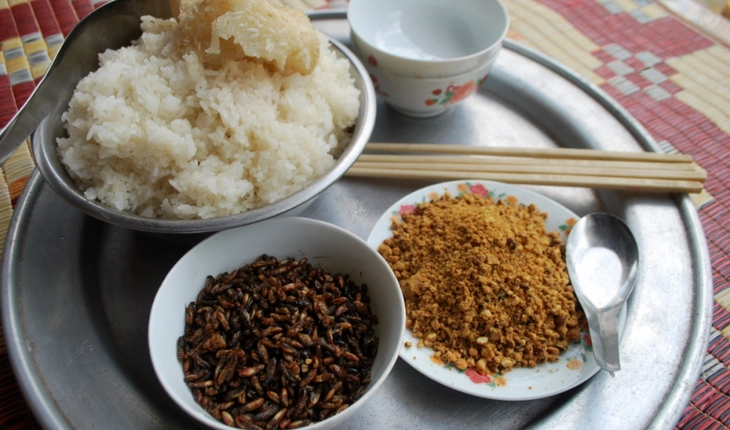 Mối cánh rừng Trường Sơn: Món đại ngàn ngon nức nở - Ảnh 8.