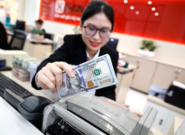 Giá USD lao dốc, dự báo mới nhất về tỉ giá tại Việt Nam- Ảnh 1.