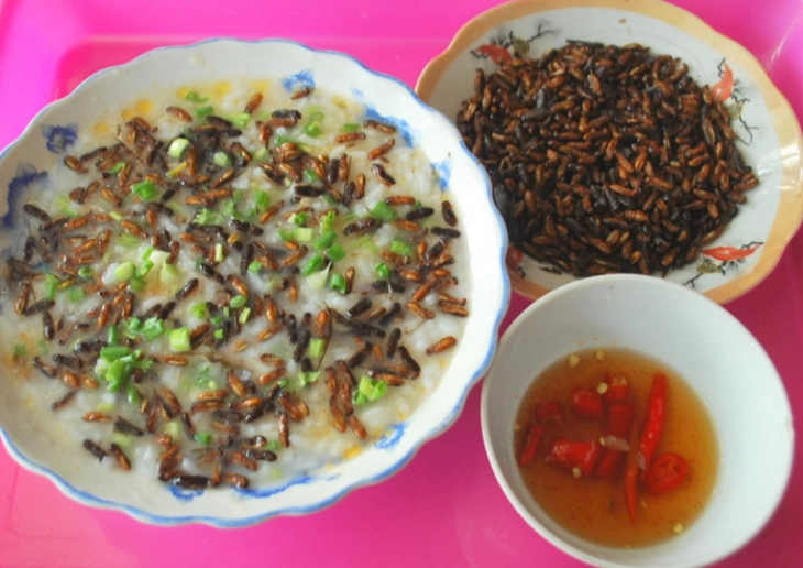 Mối cánh rừng Trường Sơn: Món đại ngàn ngon nức nở - Ảnh 1.