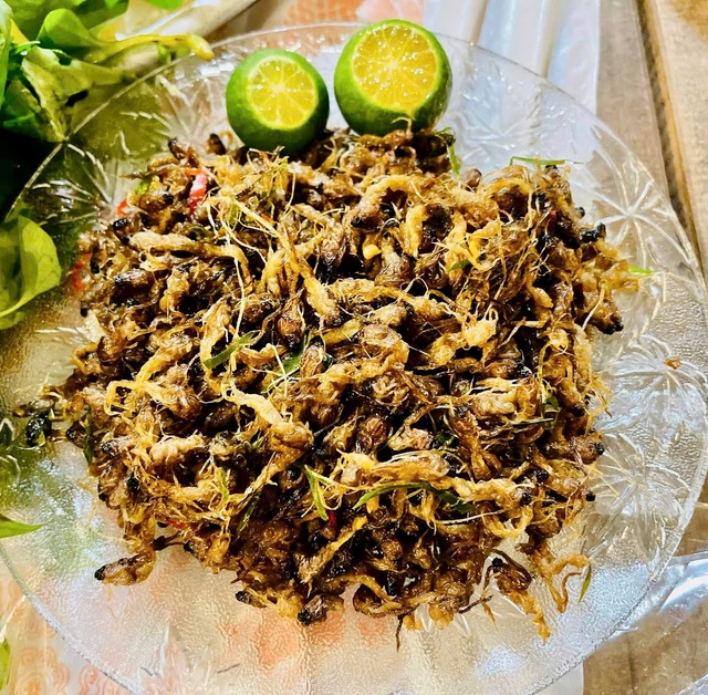 - الصورة رقم 5.