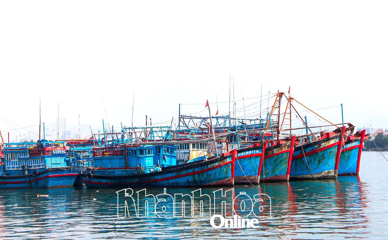 Tàu cá neo đậu tại vùng nước cảng Hòn Rớ.