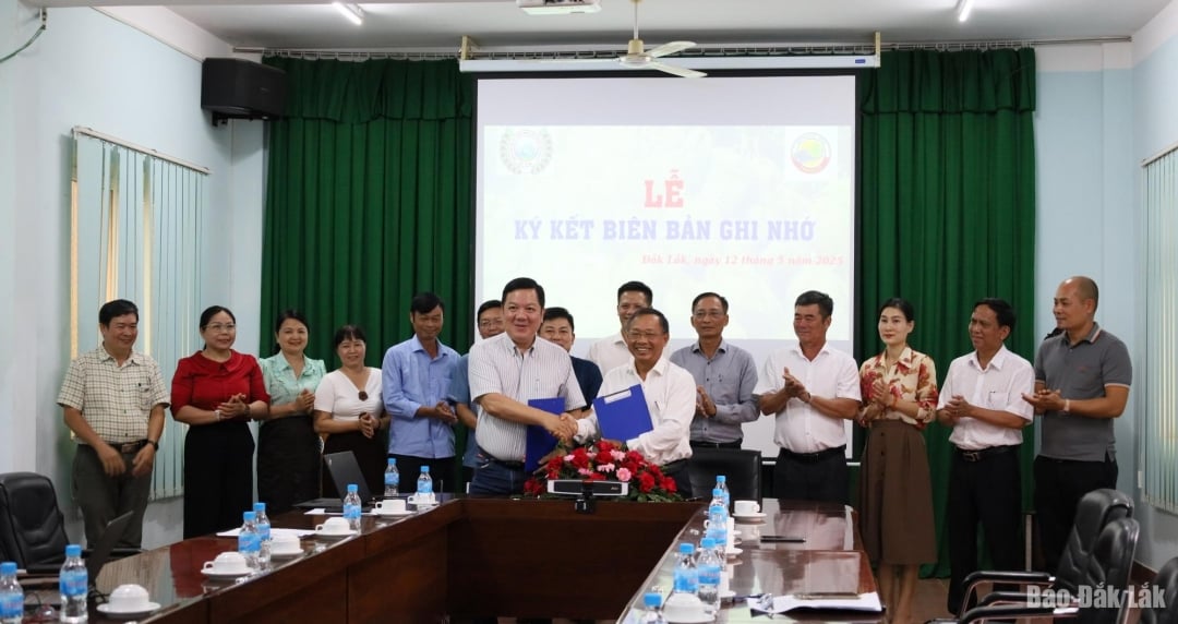 Viện Khoa học kỹ thuật nông lâm nghiệp Tây Nguyên – Wasi và Hiệp hội Sầu riêng Đắk Lắk ký thỏa thuận hợp tác.