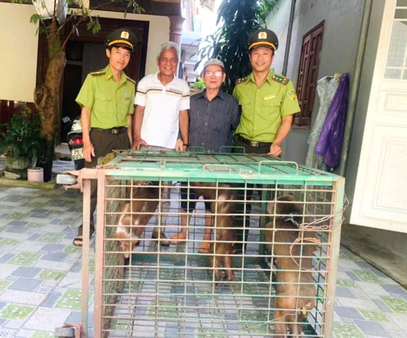 Cứu hộ nhiều cá thể động vật quý hiếm có tên trong Sách đỏ  -0