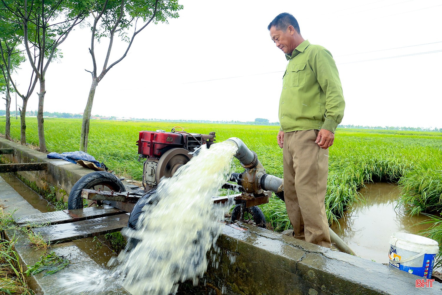 Ông Kiểu phải dùng máy cỡ lớn bơm cả ngày lẫn đêm để nhanh chóng rút nước ra khỏi chân ruộng để &quot;gỡ được phần nào hay phần đó&quot;.