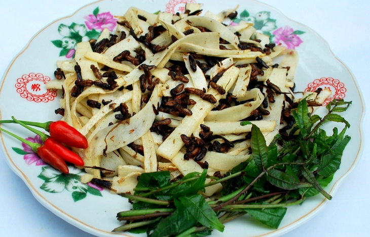 Mối cánh rừng Trường Sơn: Món đại ngàn ngon nức nở - Ảnh 7.