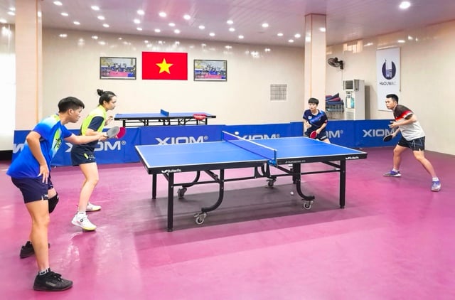 Nhà vô địch SEA Games cùng 200 VĐV tranh tài ở giải bóng bàn quốc gia - Ảnh 2.