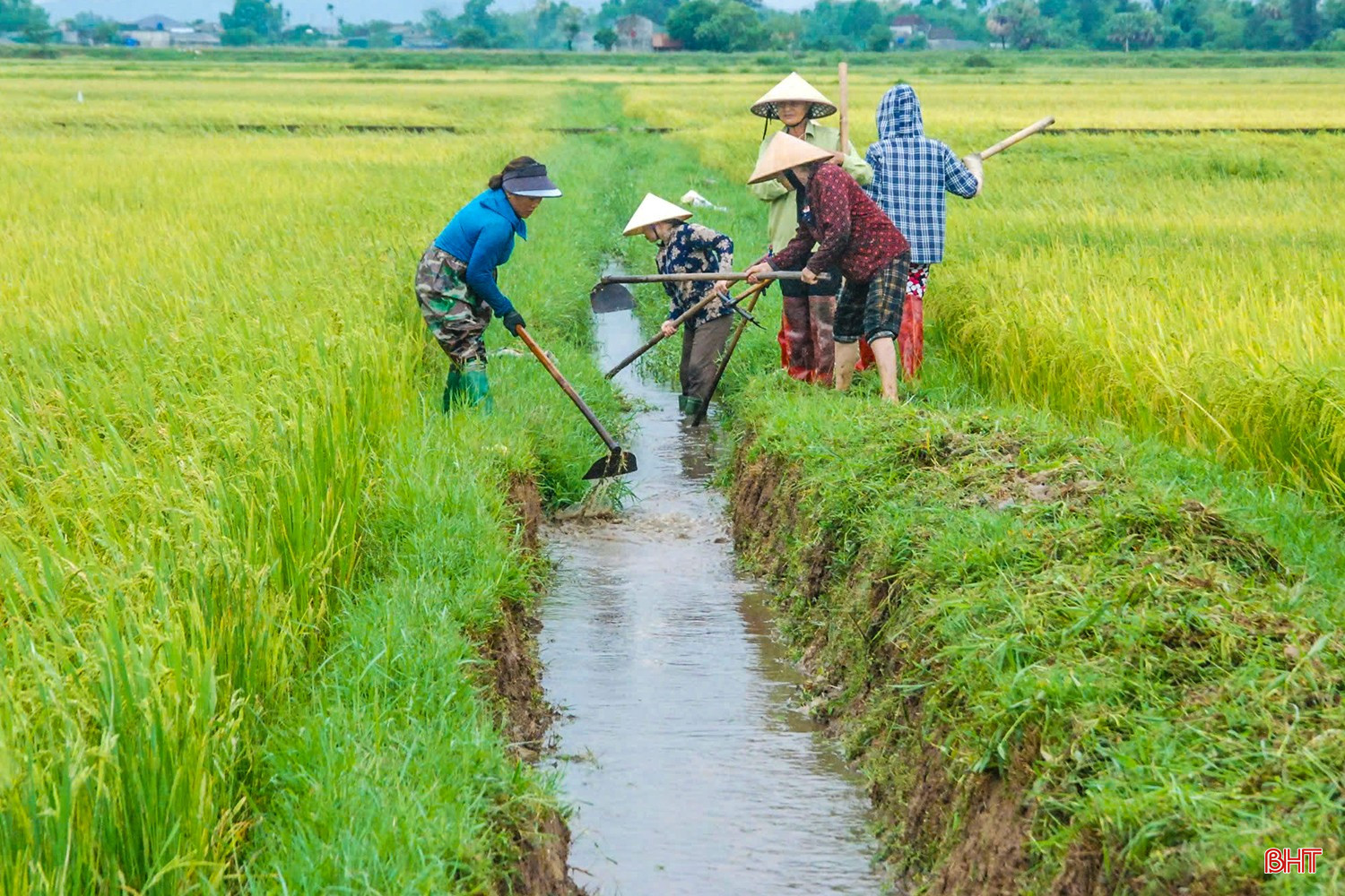Bà con nông dân thôn Trung Phú, xã Thạch Thắng (TP Hà Tĩnh) nhanh chóng ra đồng để khơi thông dòng chảy, hạn chế thấp nhất thiệt hại.