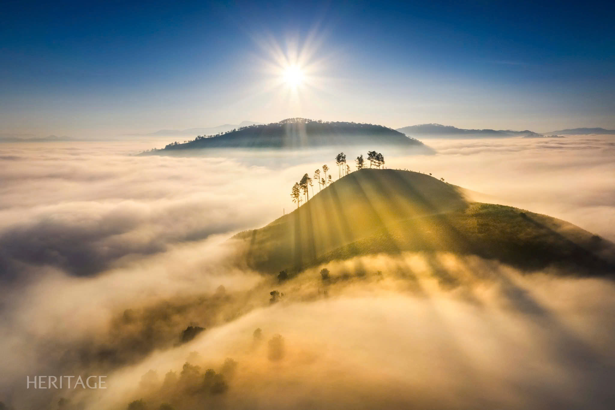 Wandering in the clouds of Dalat
