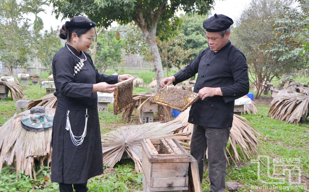 Mr. Ma Van Ha shares his experience in beekeeping with people in Hop Thanh commune (Phu Luong).
