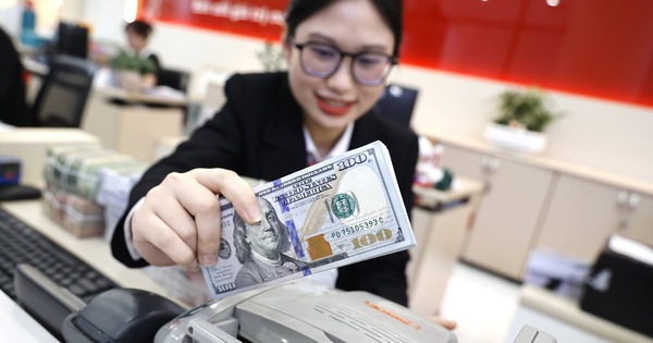USD price plummets, latest forecast on exchange rate in Vietnam