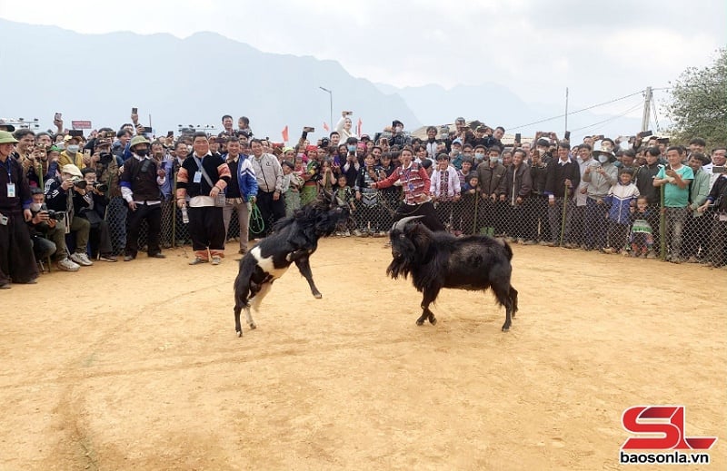 Sơn La phát triển du lịch trở thành ngành kinh tế mũi nhọn - Ảnh 8.