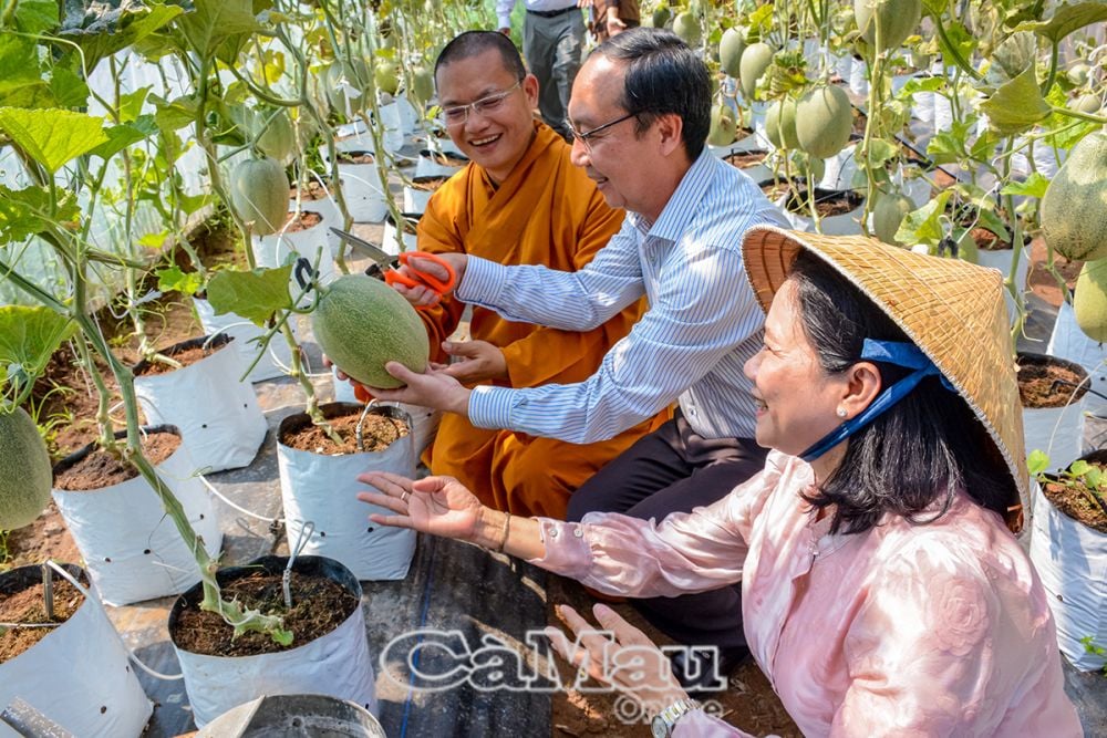 Ông Phan Hoàng Vũ, Phó chủ tịch HÐND tỉnh, cùng bà Quách Kiều Mai, Phó giám đốc Sở Dân tộc và Tôn giáo tham quan vườn dưa lưới tại Thiền viện Trúc Lâm, phường An Xuyên, TP Cà Mau.