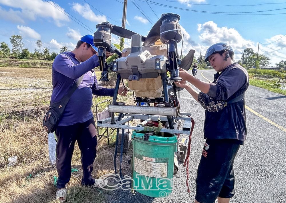Hiện toàn tỉnh có 109 máy bay phun thuốc (drone) phục vụ sản xuất lúa cho người dân.