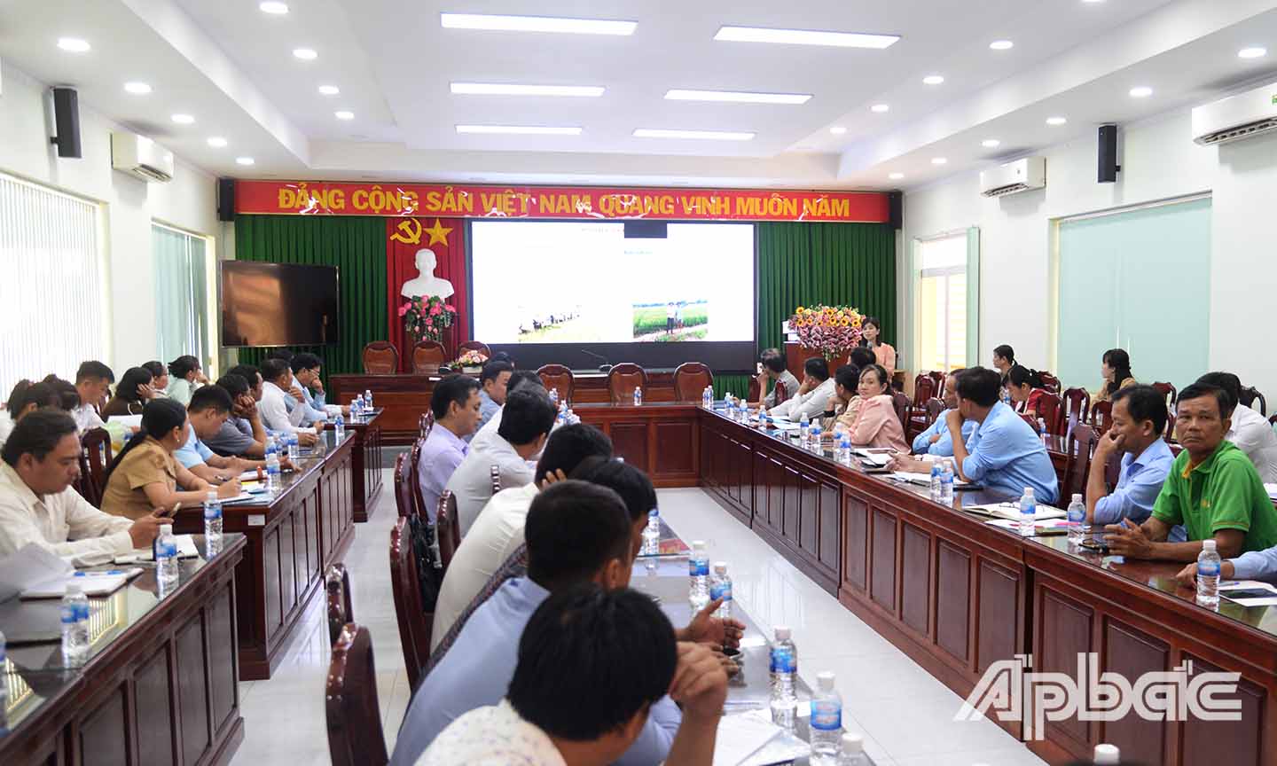 Các đại biểu làm việc tại Hội nghị.
