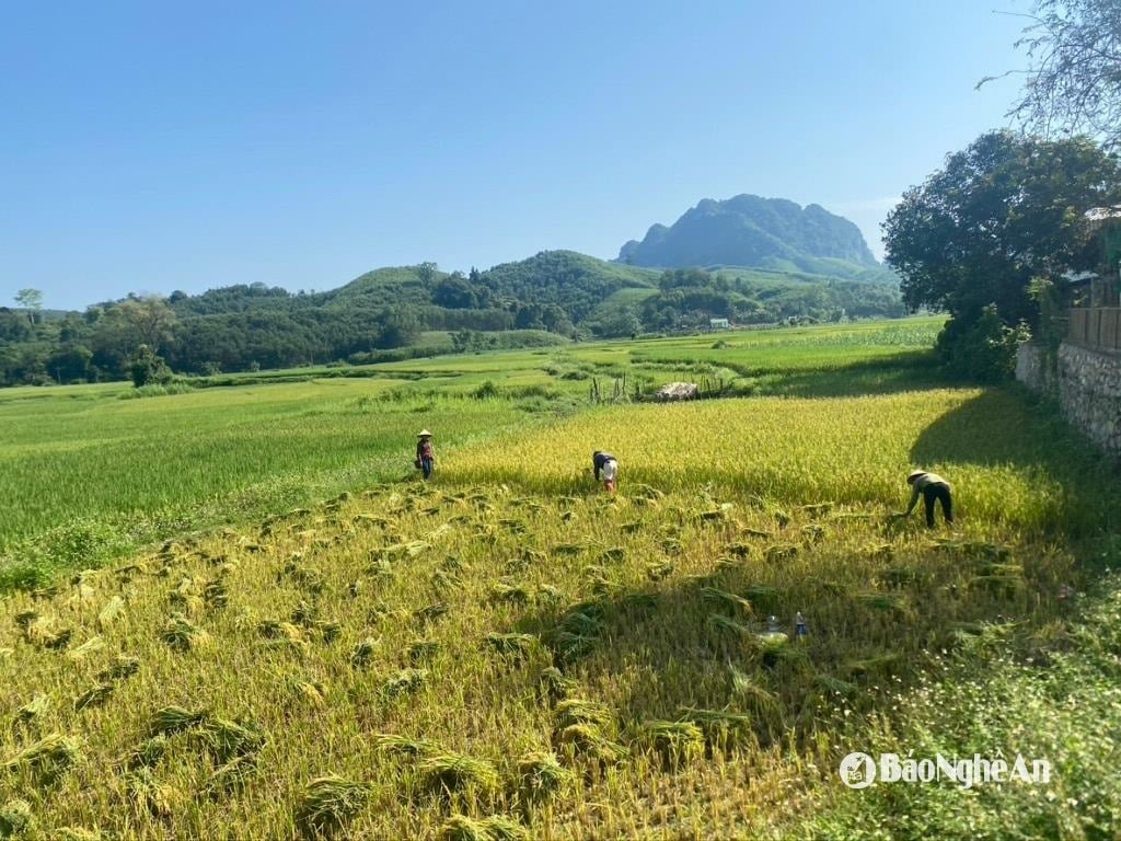 bna_vantruong-45-1d24963f80945d93c3b80abc8556c55c(1).jpeg