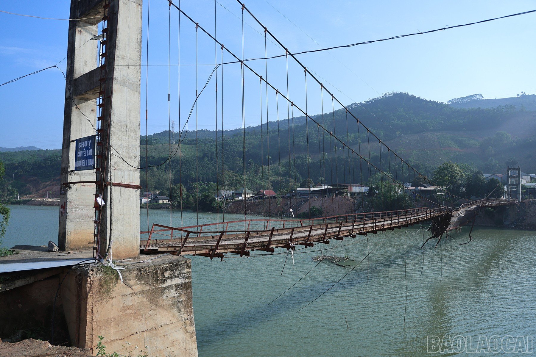 baolaocai-br_img-7432.jpg
