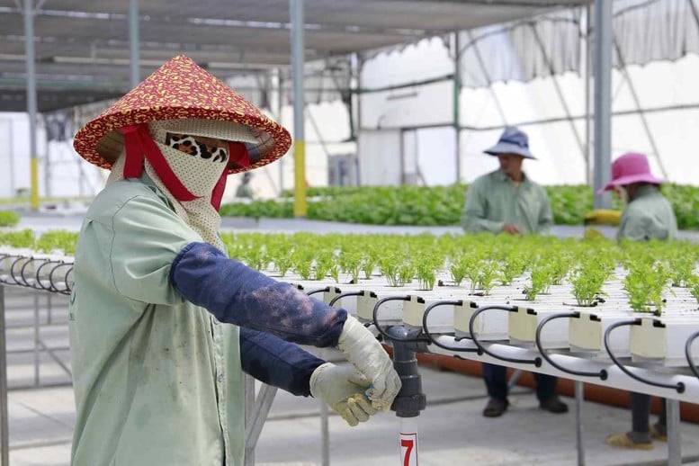Cảnh giác với thông tin tuyển lao động đi Israel: Bộ Nội vụ ra khuyến cáo- Ảnh 1.