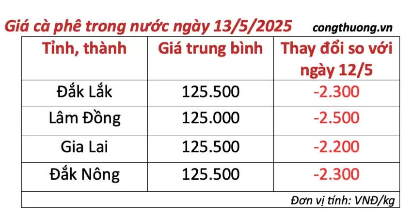 Dự báo giá cà phê ngày mai 14/5/2025, thị trường giảm nhẹ