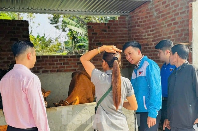 Thanh niên dân tộc thiểu số phát triển kinh tế từ nguồn vốn vay ủy thác qua tổ chức Đoàn ảnh 2