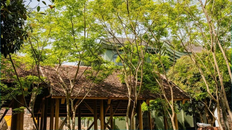 Vẻ đẹp bình yên của không gian Hợp tác xã Sinh Dược ảnh 9