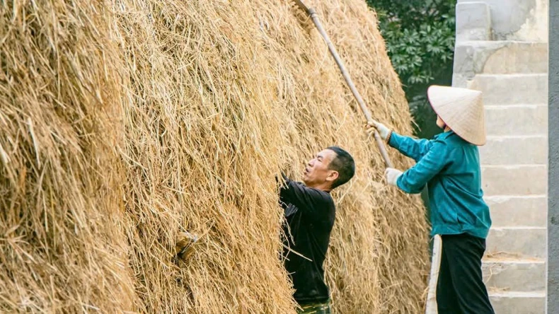 Vẻ đẹp bình yên của không gian Hợp tác xã Sinh Dược ảnh 4