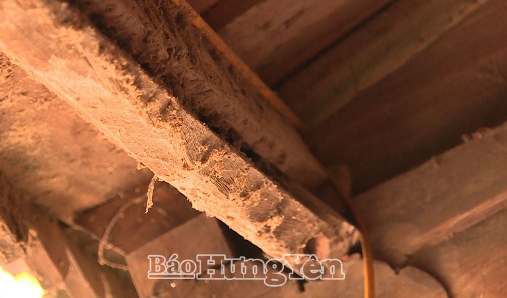 Bên trong nhà thờ, nhiều cột, vì, kèo bị mọt ăn mòn, mục rỗng…