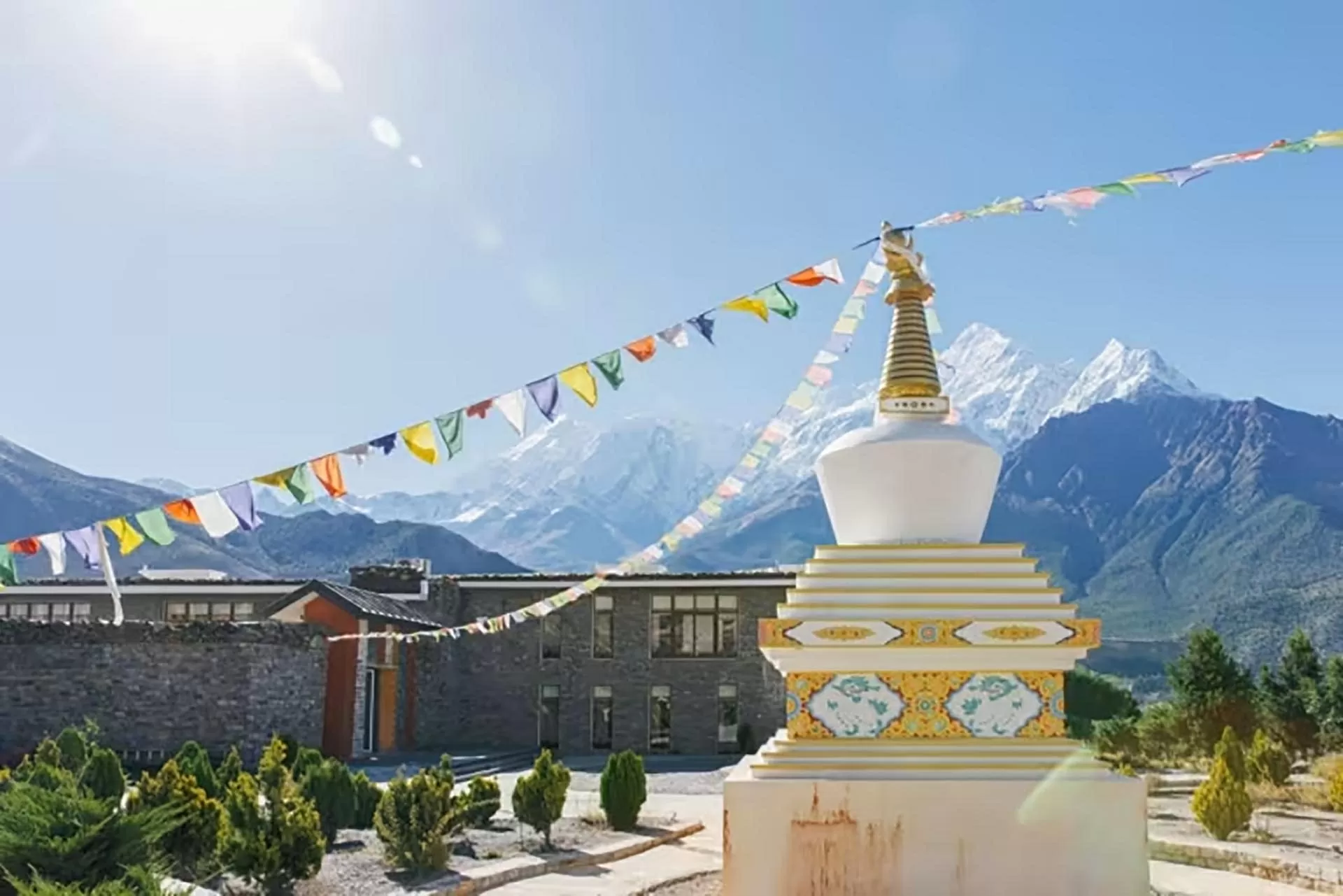 shinta-mani-mustang-mang-den-tam-nhin-ngoan-muc-cung-trai-nghiem-sang-trong.webp