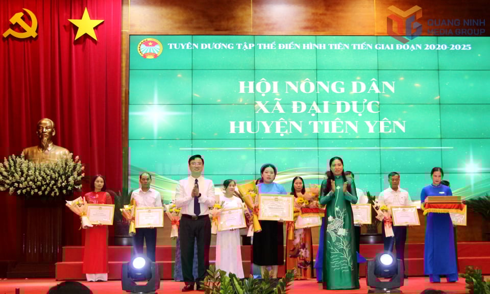ថ្នាក់ដឹកនាំសមាគមកសិករខេត្ត និងគណៈកម្មការឃោសនា និងចលនាមហាជននៃគណៈកម្មាធិការបក្សខេត្ត បានប្រគល់ប័ណ្ណសរសើររបស់សមាគមកសិករខេត្ត ដល់សមូហភាពធម្មតា និងជឿនលឿនក្នុងចលនាត្រាប់តាម។