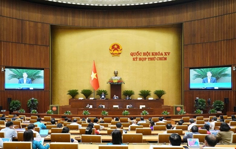 dai-bieu-3.jpg